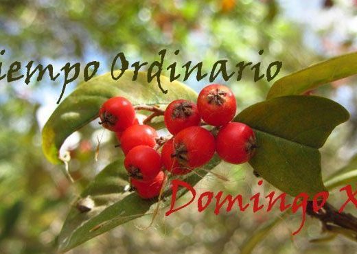 seguimiento