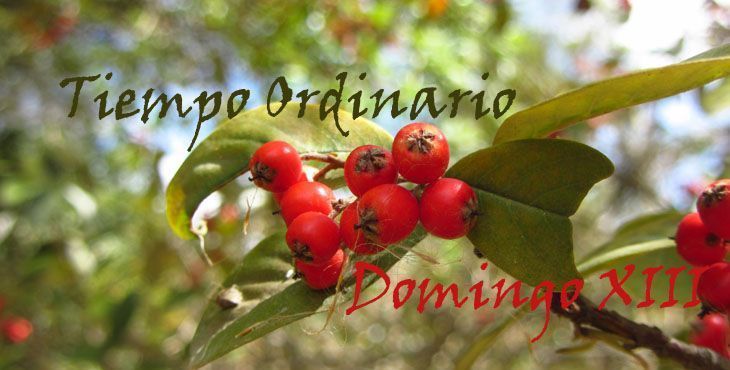seguimiento