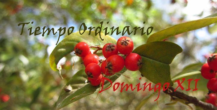 Orando