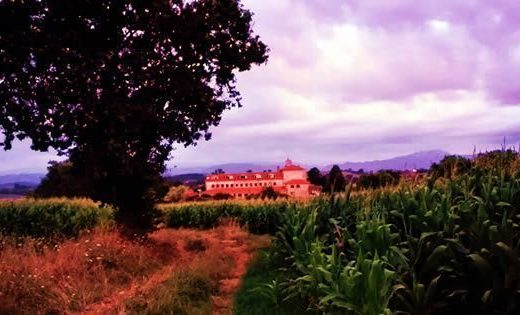 amanecer en Suesa