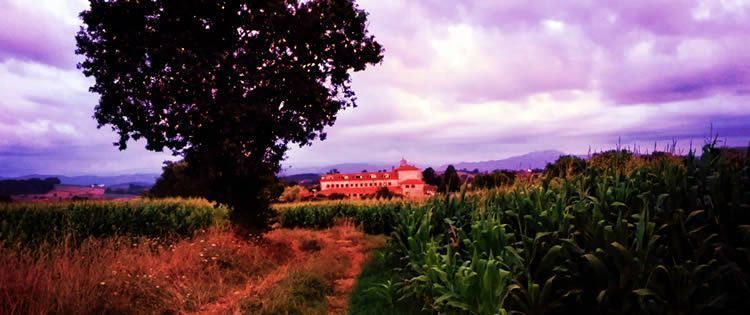 amanecer en Suesa