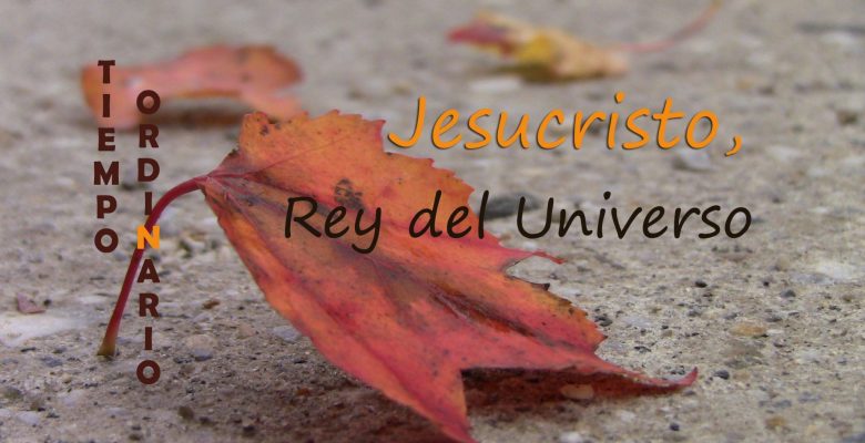 Rey del Universo