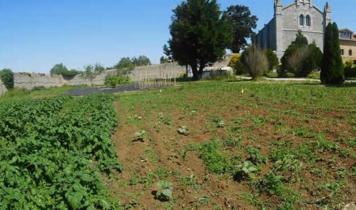 huerta suesa