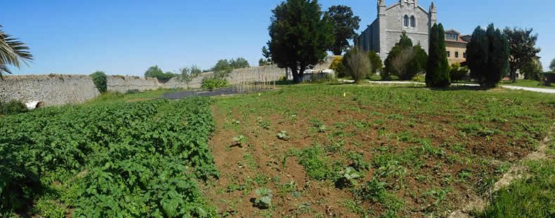 huerta suesa