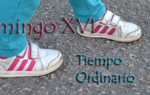 Trigo