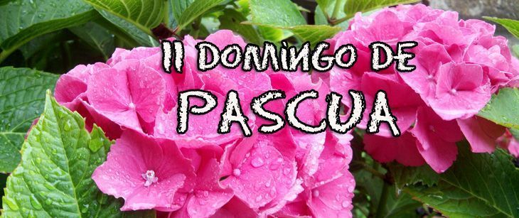 Paz
