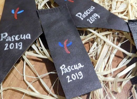 pascua 2019 suesa