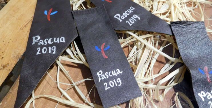 pascua 2019 suesa