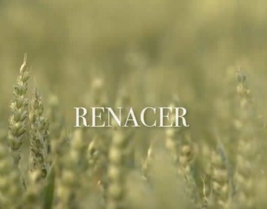 renacer suesa