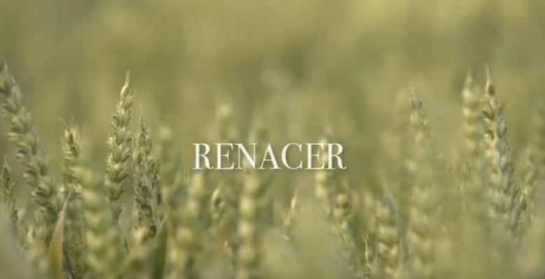 renacer suesa