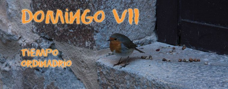 Enemigos