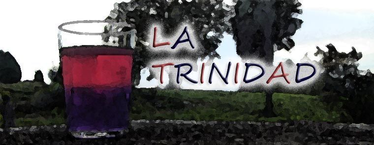 Amó