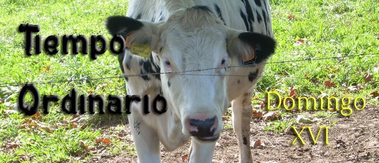 Crecer