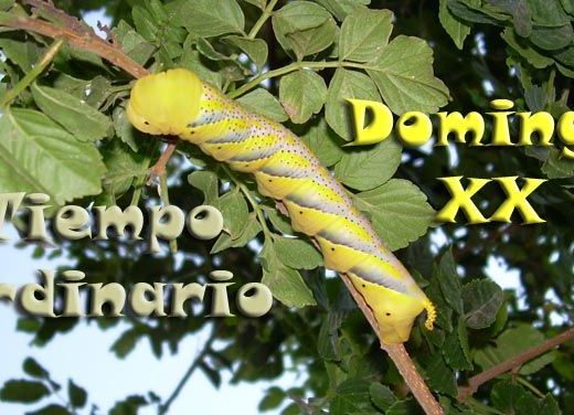 de rodillas