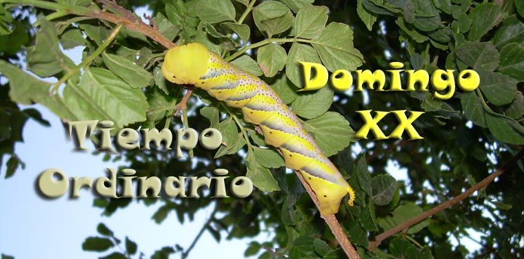 de rodillas