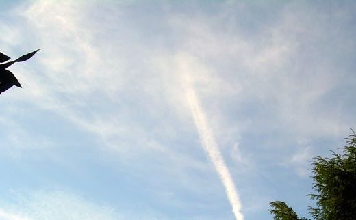 verano suesa
