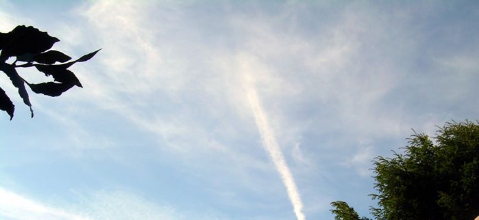 verano suesa