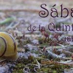 Judíos