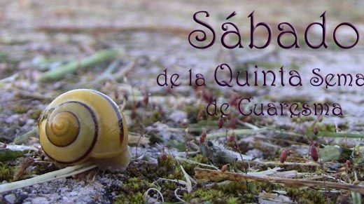 Judíos