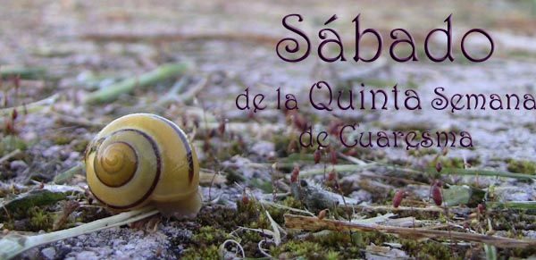 Judíos