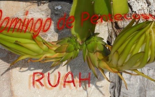 Plenitud