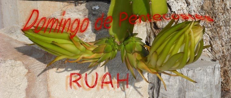 Plenitud