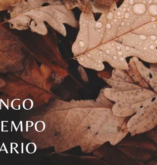 lenguaje SUESA