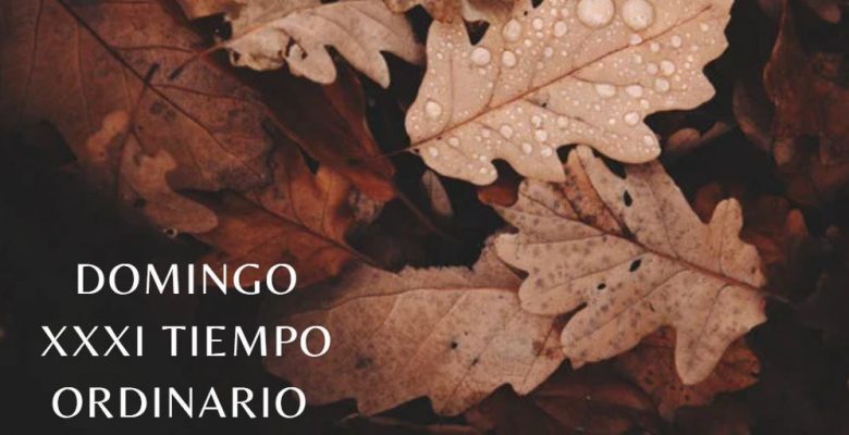 lenguaje SUESA