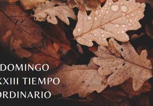 higuera suesa