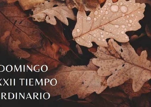 razón suesa