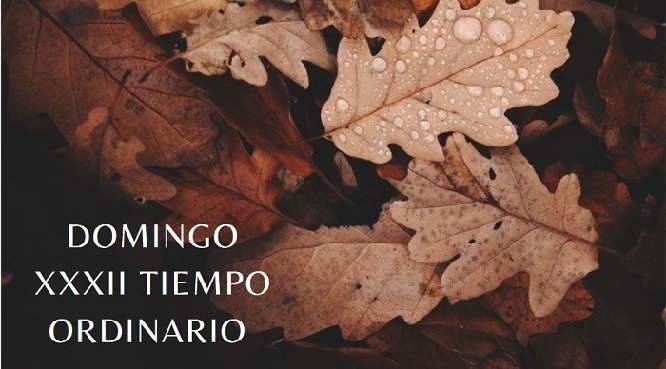 razón suesa